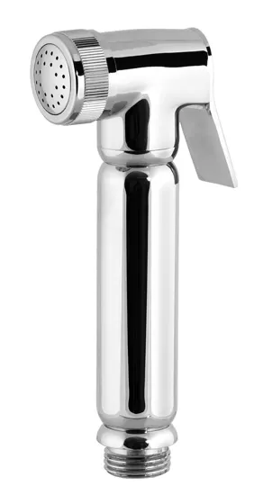 Гигиенический душ со смесителем скрытого монтажа (душевой шланг и скрытая часть в комплекте) class line cr хром remer