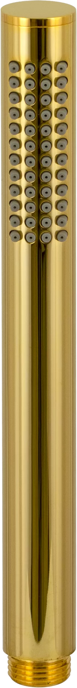 Лейка для душа с самоочисткой 1 режим do золото remer