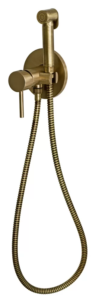 Гигиенический душ со смесителем скрытого монтажа (душевой шланг и скрытая часть в комплекте) x style vo латунь состаренная remer