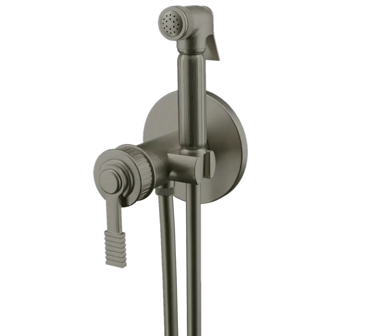 Гигиенический душ со смесителем скрытого монтажа (душевой шланг и скрытая часть в комплекте) atelier xv никелированная сталь remer