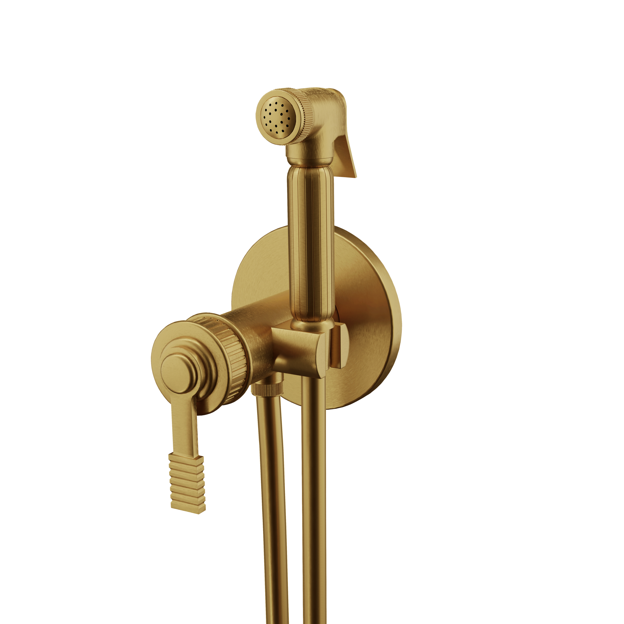 Гигиенический душ со смесителем скрытого монтажа (душевой шланг и скрытая часть в комплекте) atelier bg золото брашированное remer