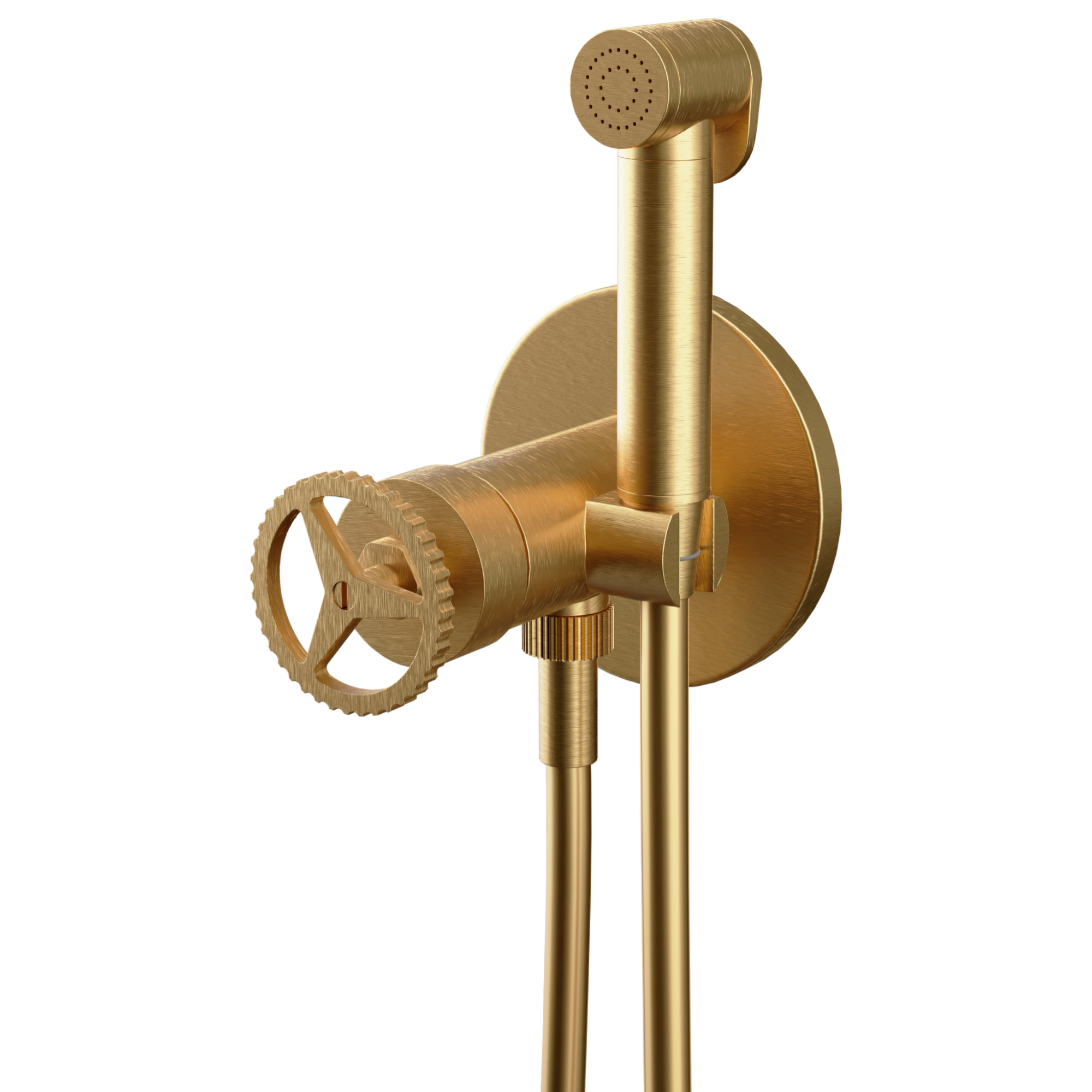 Гигиенический душ со смесителем скрытого монтажа (душевой шланг и скрытая часть в комплекте) chrono bg золото брашированное remer