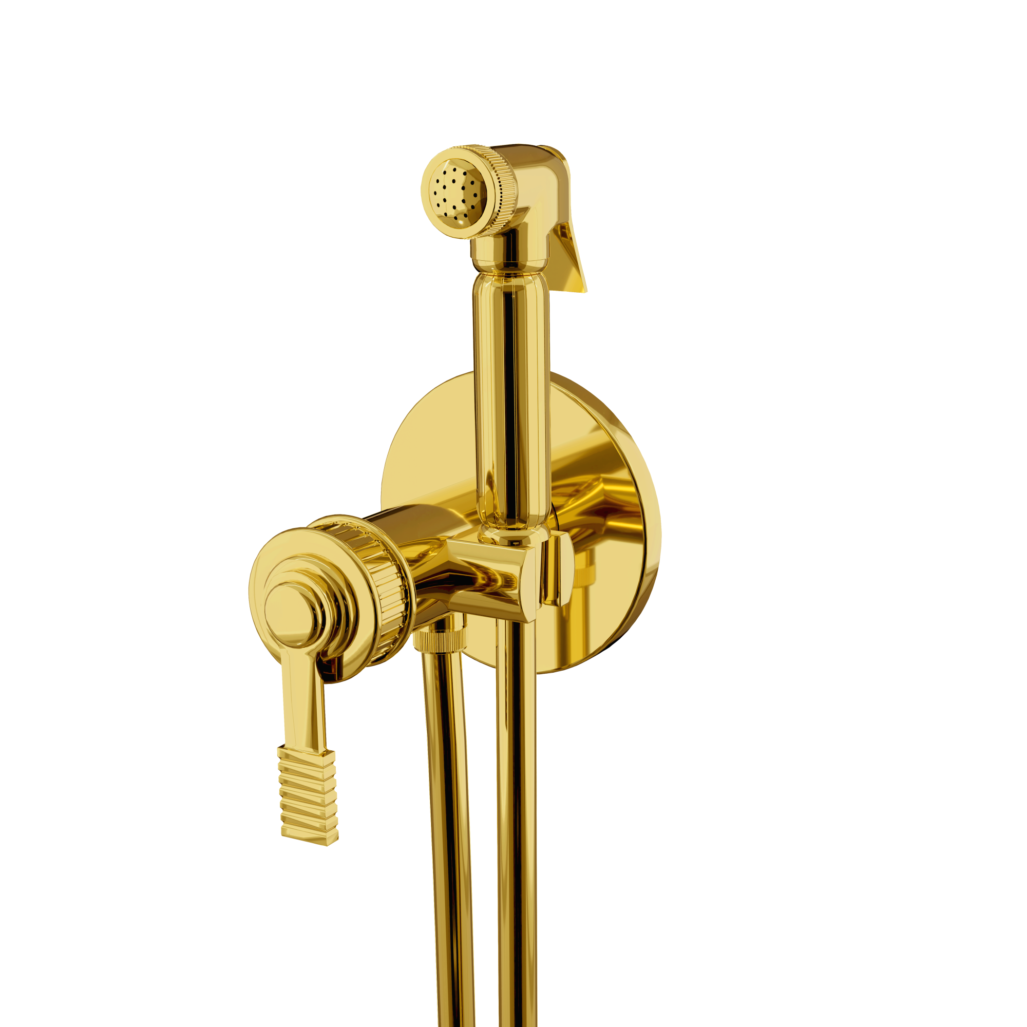 Гигиенический душ со смесителем скрытого монтажа (душевой шланг и скрытая часть в комплекте) atelier do золото remer